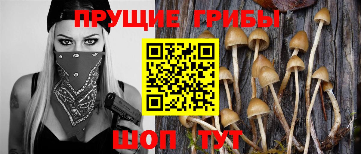 Псилоцибиновые грибы мухоморы  Вход с VPN  Березники  Галлюциногенные грибы MAGIC MUSHROOMS 